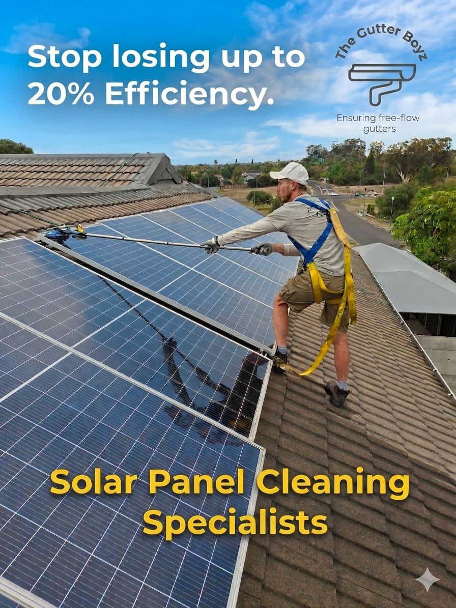 Solar Panel Cleaning Cape Town – Why It Matters