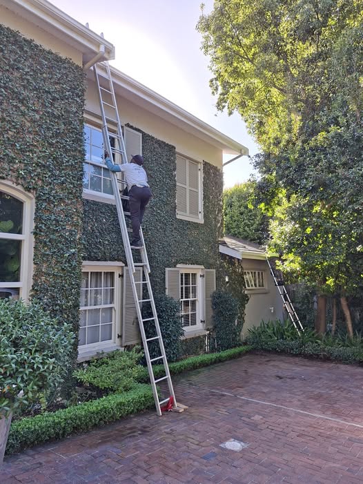 Gutter Cleaning